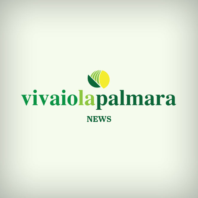 la palmara news